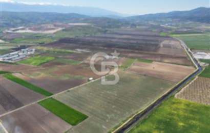 BURSA YENİŞEHİR ÇARDAK SATILIK TARLA!. 225 DÖNÜM