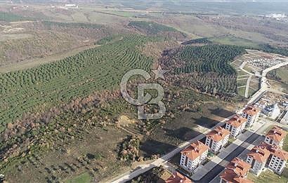 ORHANGAZİ ARAPZADE SATILIK TARLA! 21.007M2 YENİ TOKİ SINIRI