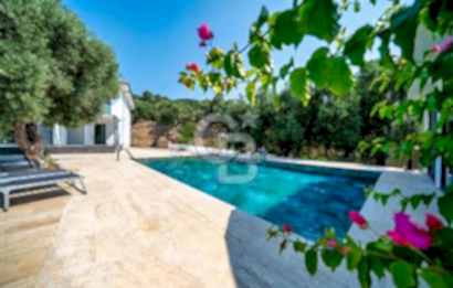 Fırsat SATILIK  Dalaman Ortaca Deniz manzaralı havuzlu zeytinlikler içerisinde müstakil villa