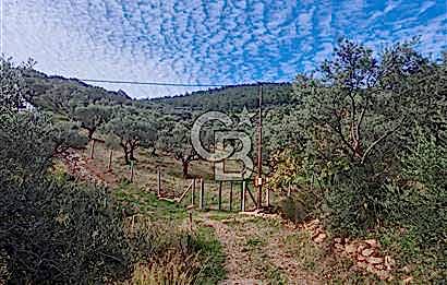 TTorbalı Dağkızılca 273 m2 Hisse Tapulu Parsel