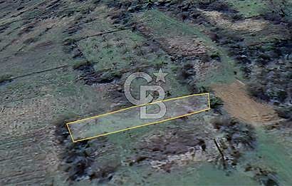 Bilecik İlyasbey'de Yatırımlık Fırsat: Doğayla İç İçe 504 m²