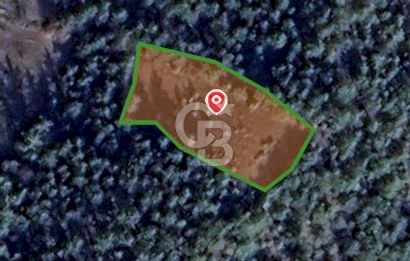 BİLECİK GÖLPAZARI YATIRIMLIK 1.450 m² STRATEJİK TARLA