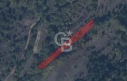 BİLECİK GÖLPAZARI YATIRIMLIK & HOBİYE UYGUN 1.056 m² BAHÇE