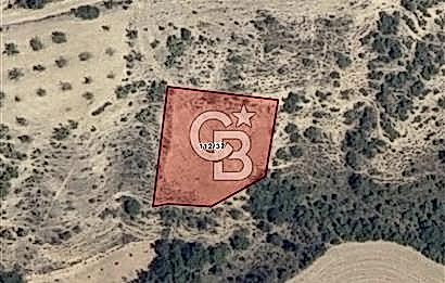 BURSA YENİŞEHİR ÇELEBİDE YATIRIMLIK 1.948 m² MÜSTAKİL BAĞ