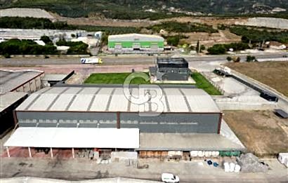 BURSA ORHANGAZİ MARZİM SATILIK FABRİKA DEPO!. 2440M2 ANA YOL