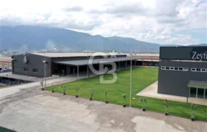 BURSA ORHANGAZİ MARZİM SATILIK FABRİKA DEPO!. 2440M2 ANA YOL