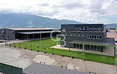 BURSA ORHANGAZİ MARZİM SATILIK FABRİKA DEPO!. 2440M2 ANA YOL